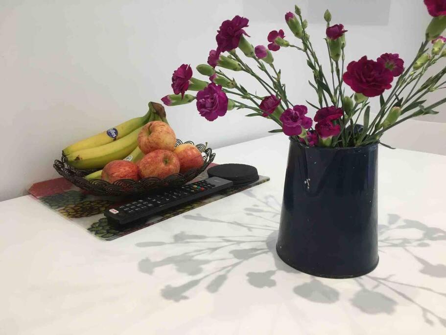 Bright And Spacious Annex Near Lymington With Private Garden 外观 照片